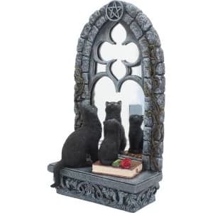 Familiar Reflection Cat Ornament