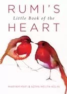rumis little book of the heart