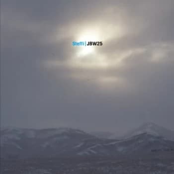 Steffi - Jbw25 Vinyl