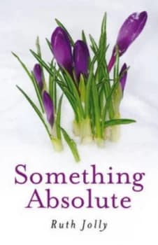 Something Absolute by Ruth a Jolly Paperback