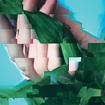 The KVB - Out Of Body CD