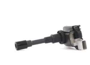 RIDEX Ignition coil 689C0039 Coil pack,Ignition coil pack FIAT,SUZUKI,SUBARU,Sedici (FY_),SWIFT III (MZ, EZ),JIMNY (FJ),SWIFT IV (FZ, NZ)