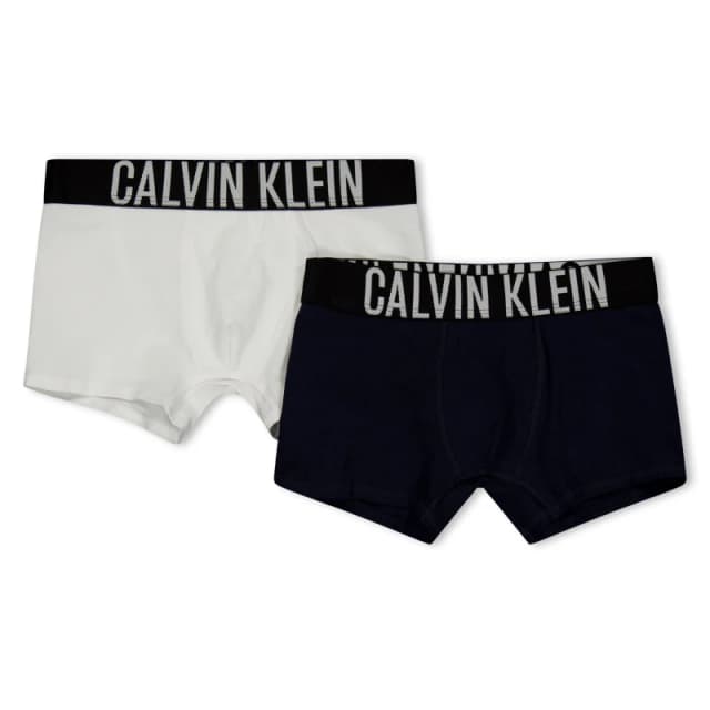 Calvin Klein Calvin 2Pk Underwear Jn62 Navy/White 0SN male 8-10Y