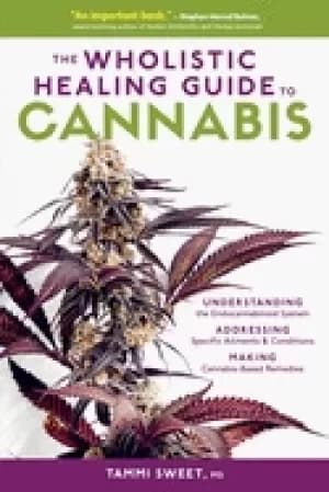 wholistic healing guide to cannabis understanding the endocannabinoid syste