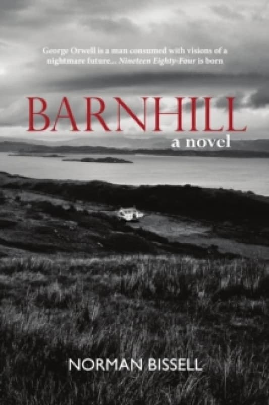 Barnhill : A Novel Paperback / softback