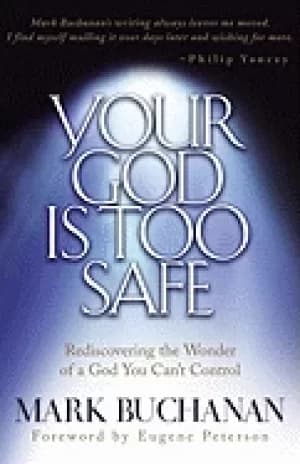 your god is too safe rediscovering the wonder of a god you cant control
