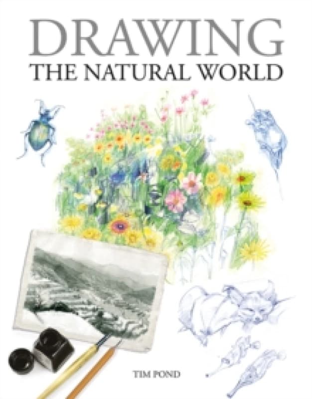 Drawing the Natural World Paperback / softback