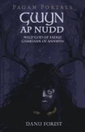 pagan portals gwyn ap nudd wild god of faery guardian of annwfn