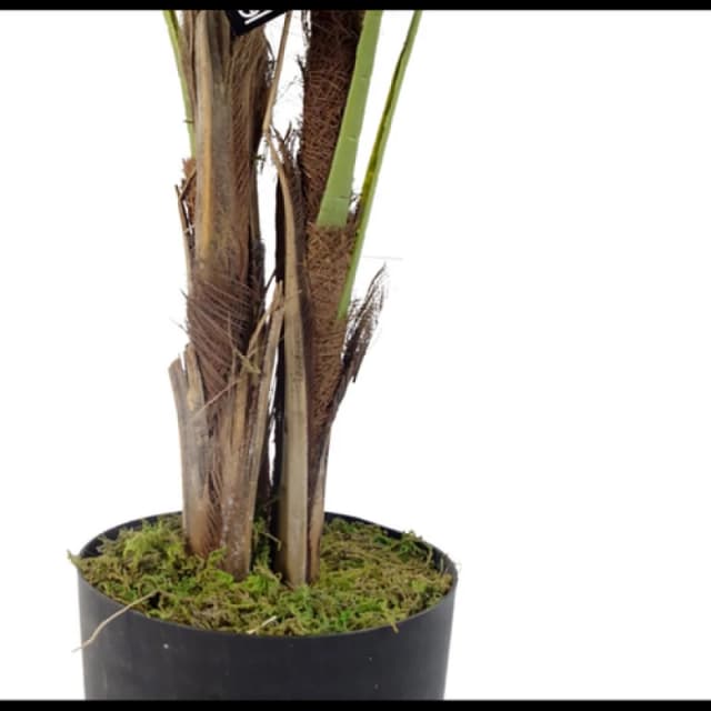 Leaf Design 120cm Leaf Large Artificial Palm Tree (Natural)