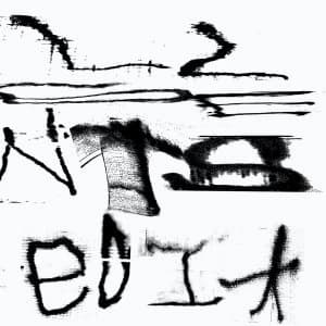 Still House Plants - Fast Edit Vinyl