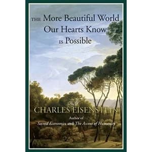 The More Beautiful World Our Hearts Know Is Possible by Charles Eisenstein (Paperback, 2013)