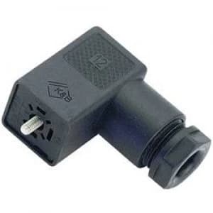 Binder 43 1902 004 04 Black