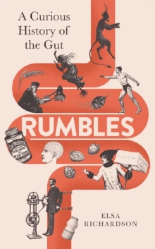 Rumbles : A Curious History of the Gut Hardback