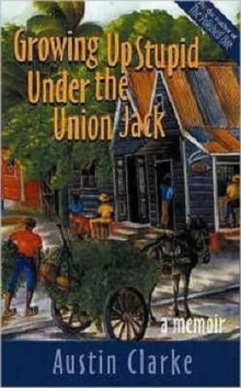 Growing Up Stupid Under the Union Jack Paperback / softback