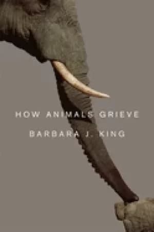 how animals grieve