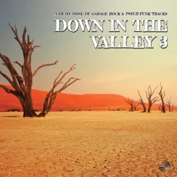 Various Artists - Down in the Valley 3 Vinyl