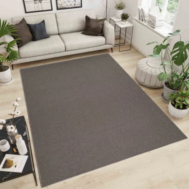 Simple Low Pile Modern Tufted Area Rugs For Living Room With Felt Backing Dark Beige 120X170 Cm