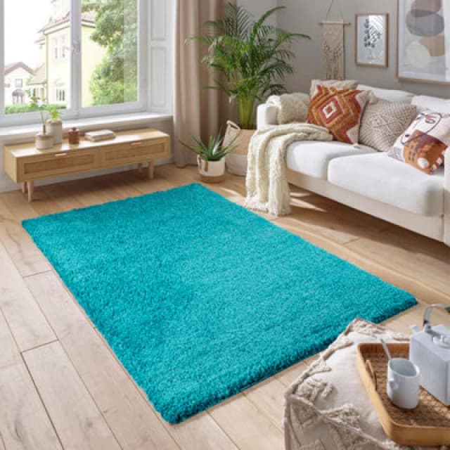 Smart Living Smart Living Soft Fluffy 5cm Thick Pile Shaggy Area Rugs for Living Room, Bedroom in Teal Size: 120cm x 170cm Teal 120cm x 170cm Unisex