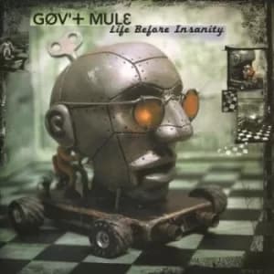 Life Before Insanity by Gov't Mule Vinyl Album