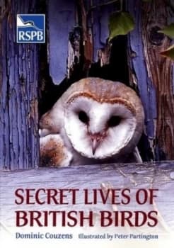 Secret Lives of British Birds by Dominic Couzens Paperback