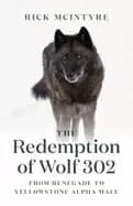 redemption of wolf 302 from renegade to yellowstone alpha male