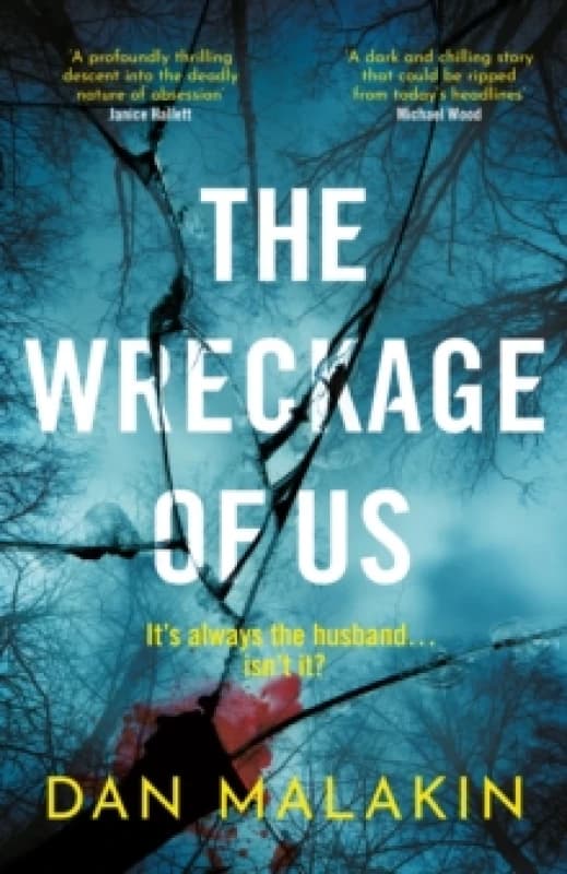 The Wreckage of Us Hardback