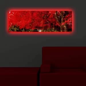 3090DACT-35 Multicolor Decorative LED Lighted Canvas Painting