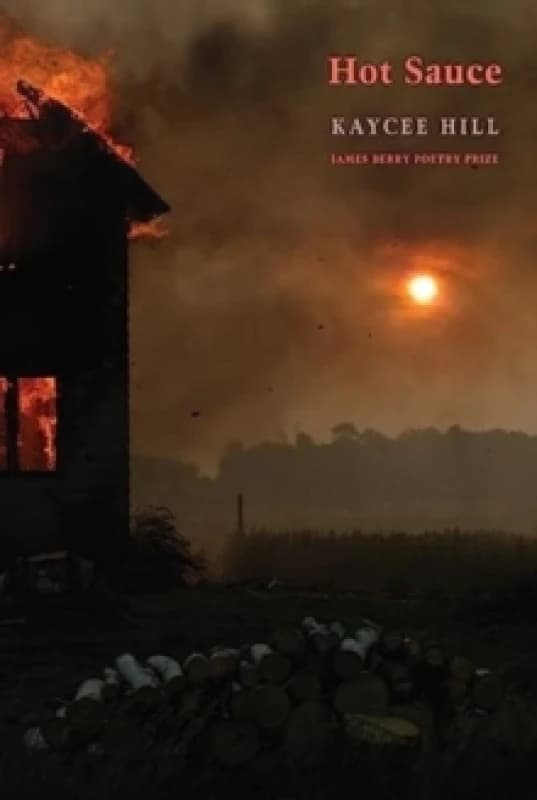 Hot Sauce Paperback / softback