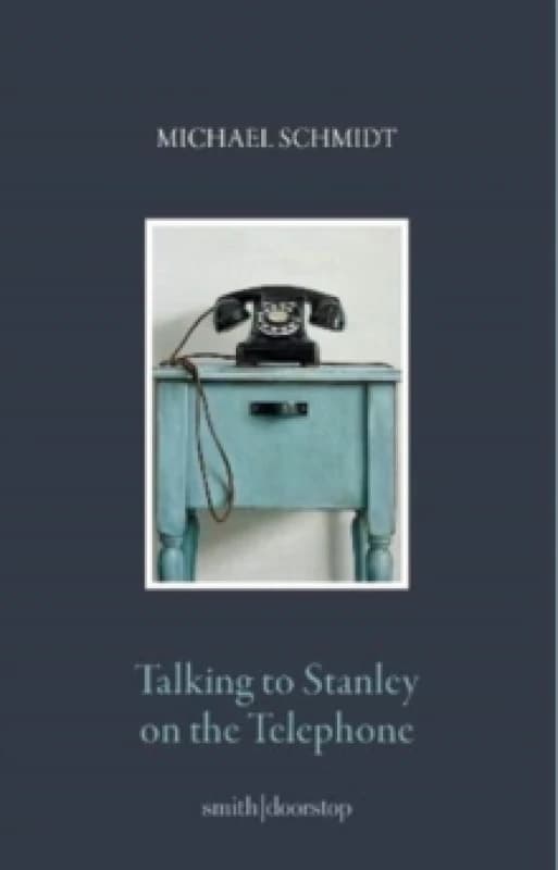 Talking to Stanley on the Telephone Paperback / softback