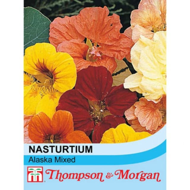 Thompson & Morgan Nasturtium Alaska Mixed 1 Packet (30 Seeds)