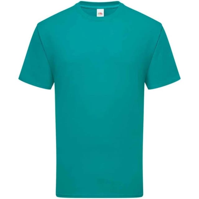 Fruit Of The Loom Fruit of the Loom Men Ringspun Premium T-Shirt in Turquoise Size: Small Turquoise S Male 5063693950927