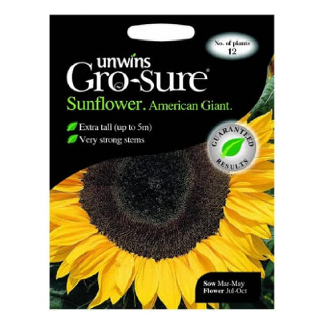 Unwins Sunflower American Giant F1