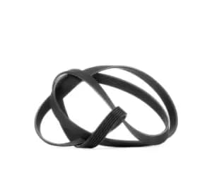 DAYCO V-ribbed belt 6PK1873 Serpentine belt,Auxiliary belt VW,AUDI,MERCEDES-BENZ,POLO (9N_)