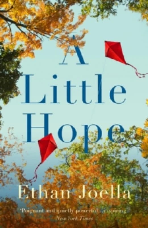 A Little Hope Hardback