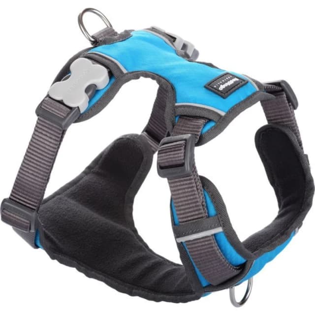 Sublime Market Connect Red Dingo Padded Dog Harness Turquoise Size : T2 - RED DINGO turquoise turquoise