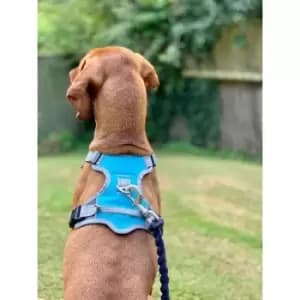 Dog Travel Harness - Medium - 41103 - Henry Wag