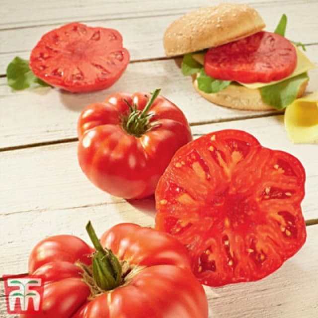Thompson & Morgan Tomato Buffalosteak F1 1 Seed Packet (4 Seeds)