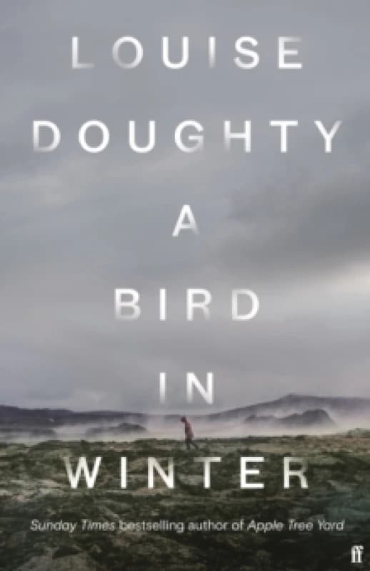 A Bird in Winter. Hardback. By Louise Doughty Books