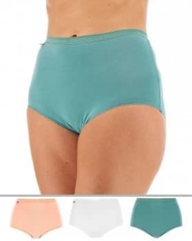Playtex 3Pack Maxi Briefs