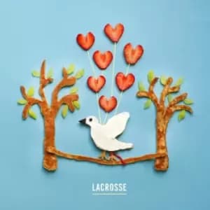 Are You Thinking of Me Every Minute of Every Day? by Lacrosse Vinyl Album