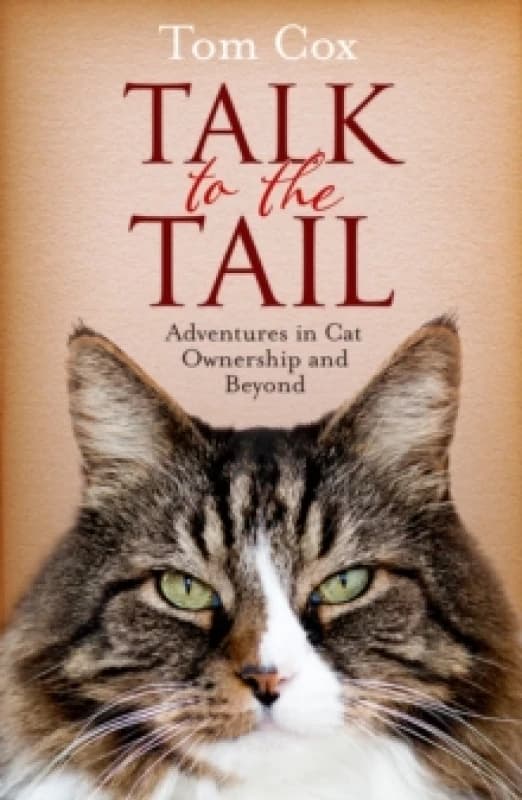 Talk to the Tail : Adventures in Cat Ownership and Beyond Paperback / softback
