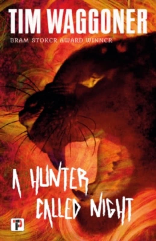 A Hunter Called Night Paperback / softback