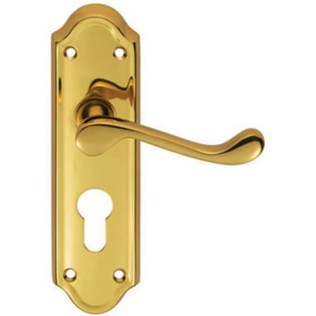 Loops PAIR Victorian Upturned Lever on Euro Lock Backplate 168 x 47mm Polished Brass Metallics
