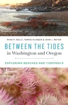 Between the Tides in Washington and Oregon : Exploring Beaches and Tidepools