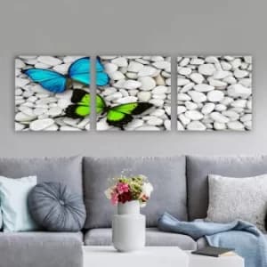 Pdr9987 Multicolor Decorative Canvas Painting (3 Pieces)