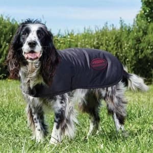 Weatherbeeta Waxed Dog Coat - Brown