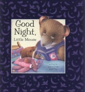 Good Night Little Mouse by Caroline Anstey and Dugald Steer Hardback