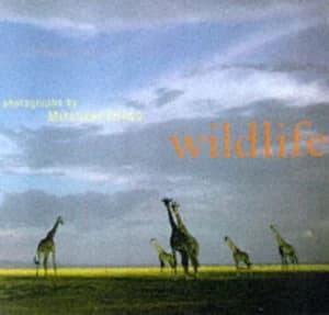 Wildlife by Mitsuaki Iwago Paperback