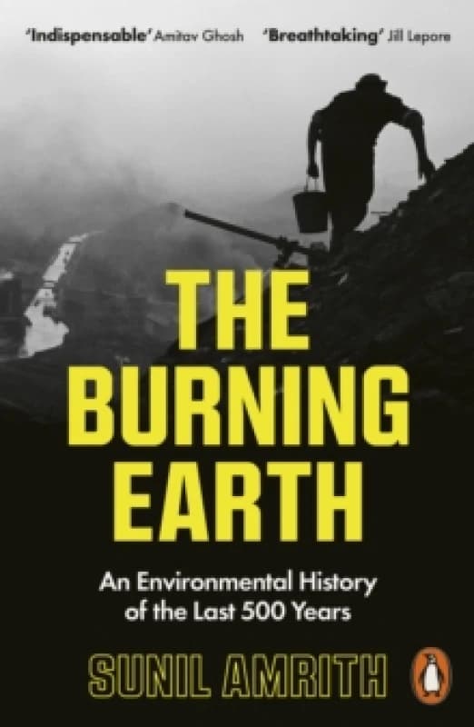 The Burning Earth. Paperback. By Sunil Amrith Books