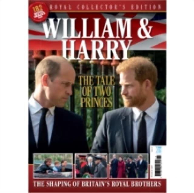 William & Harry : The Tale Of Two Princes Paperback / softback